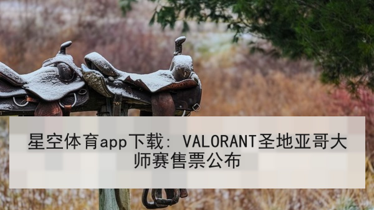 星空体育app下载: VALORANT圣地亚哥大师赛售票公布 星空体育app下载: VALORANT圣地亚哥大师赛售票公布